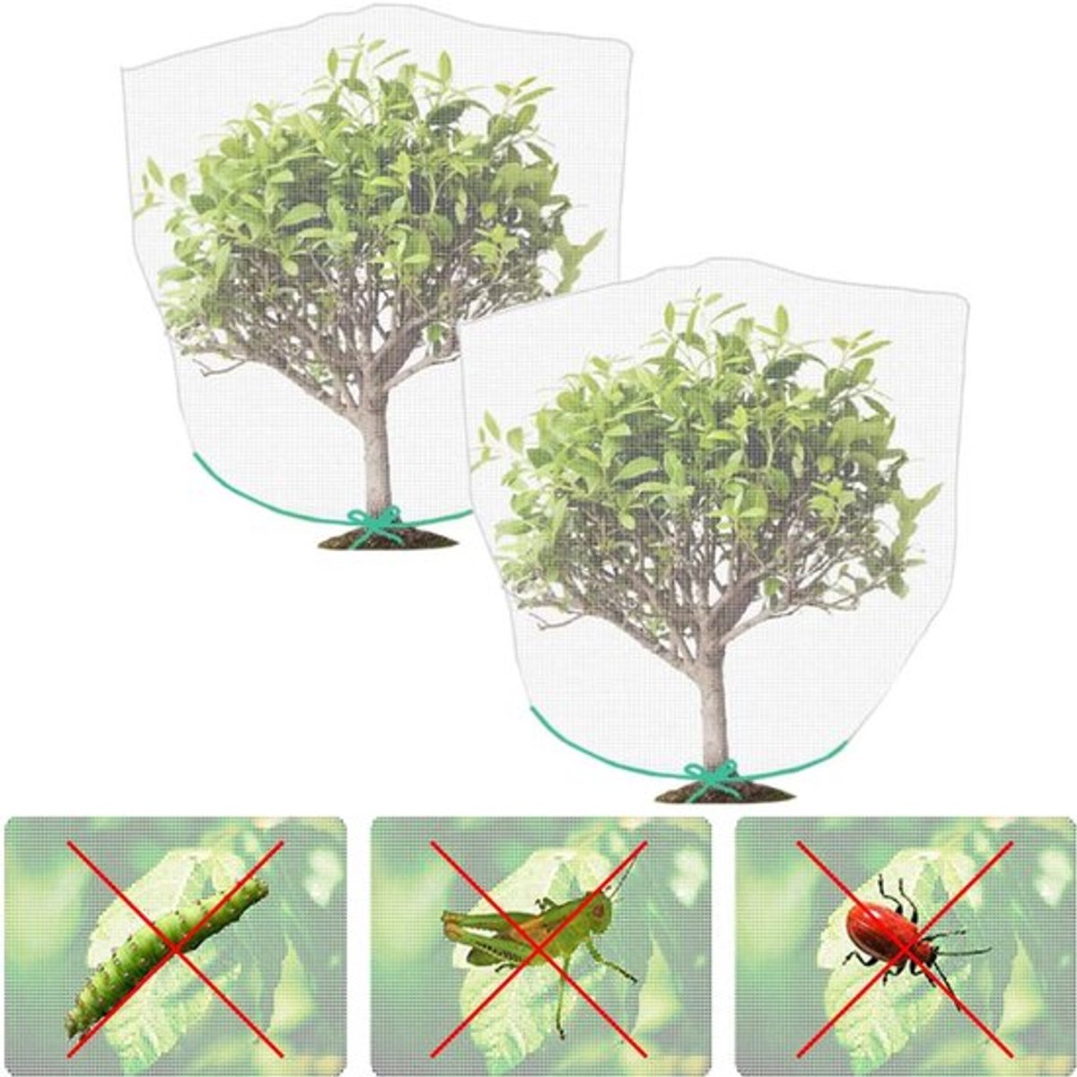 Gewasbeschermingsnet 1.5x1M - Insectennet - Vogelnet - Plantenbeschermingsnet - Lichtgewicht - Hoogwaardig mesh-polyethyleen