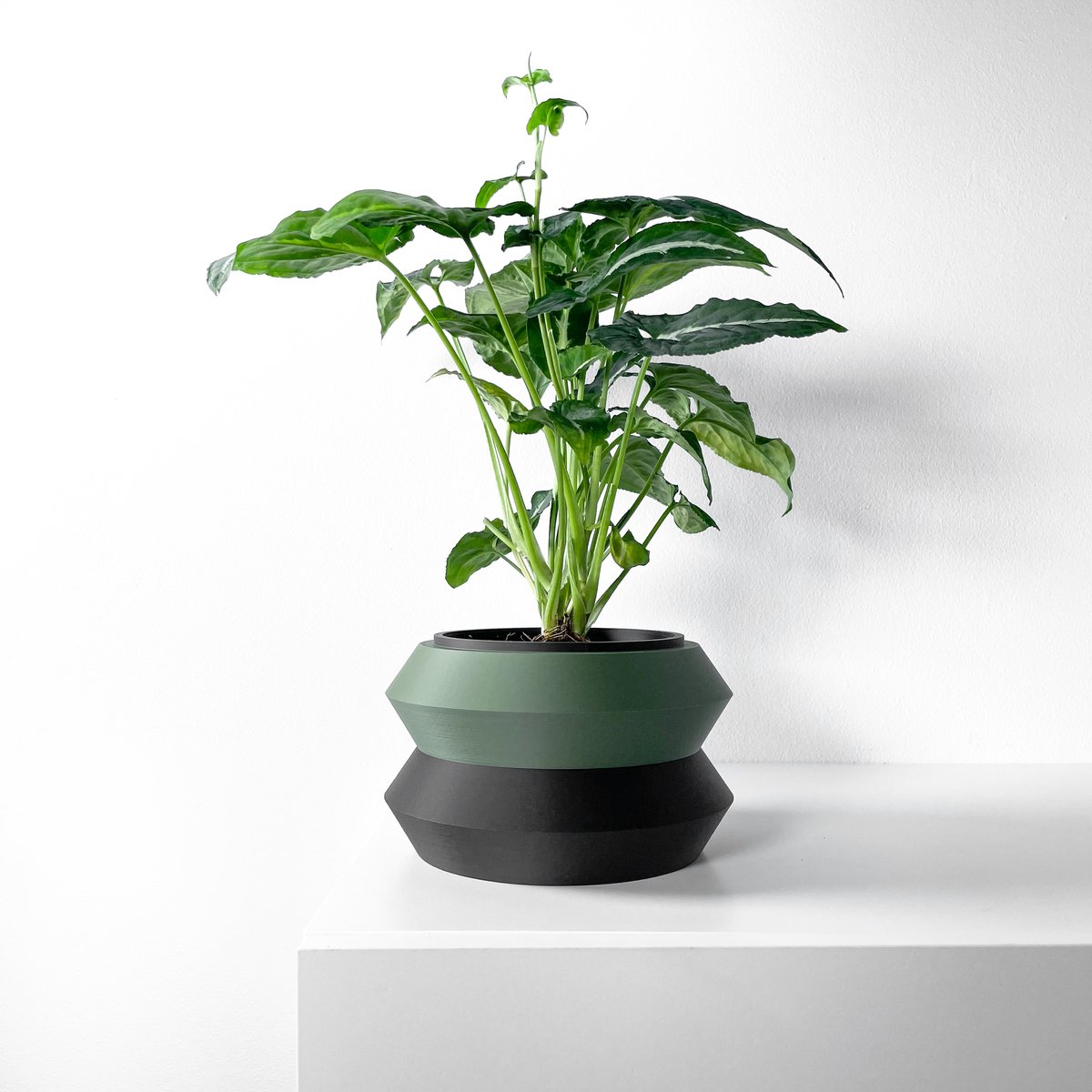 Skushy Grafel Bloempot - Moderne Designpot voor Kamerplanten - Sculpturale Plantenpot voor Woonkamer en Kantoor - Premium Woondecoratie