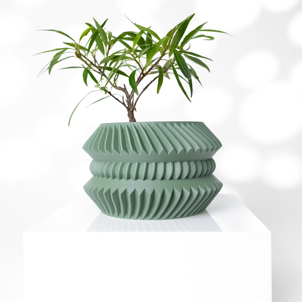 Skushy Jako Bloempot - Moderne Designpot voor Kamerplanten - Sculpturale Plantenpot voor Woonkamer en Kantoor - Premium Woondecoratie