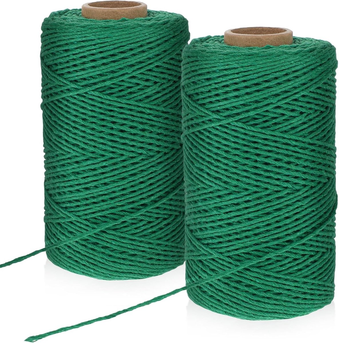 Twee rollen van 100 m groen natuurlijk binddraad voor tuinieren, bloemen, knutselen en decoratie