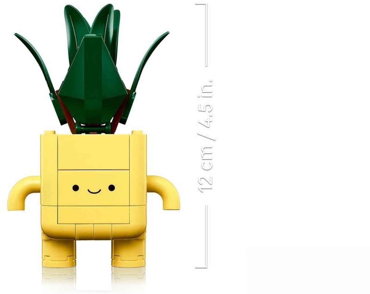 Botanical Collection Vrolijke Plantjes Decoratie 10349 van LEGO — cadeau in Spellen & Speelgoed - foto 8