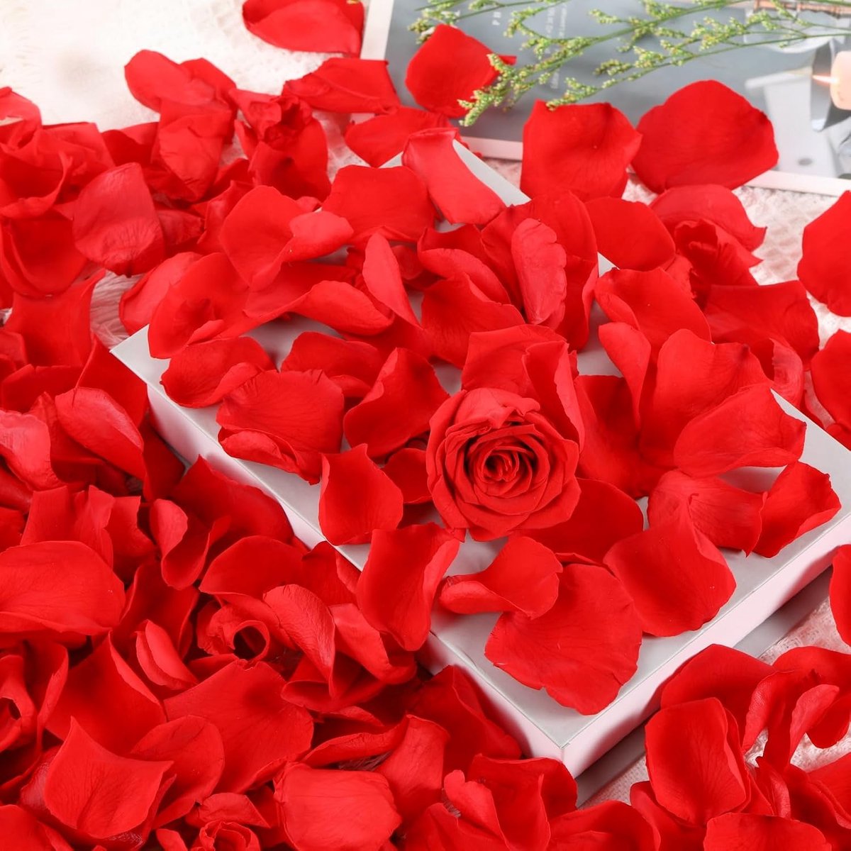 SnelShoppen - Droge Rozenblaadjes, Natuurlijke Bewerkte Petalen voor Bruiloften, Tafeldecoratie, Romantische Avonden, Engelshuwelijk, Feestset, 100g R