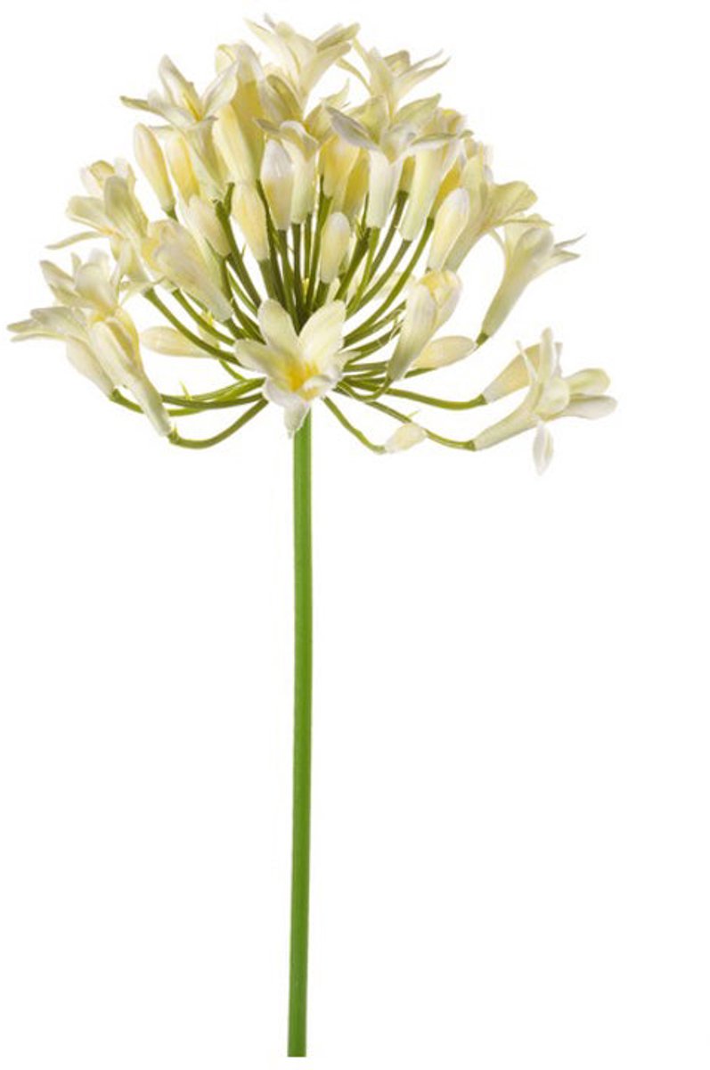 Emerald Kunstbloem Agapanthus 75cm wit - Kunstplant voor binnen