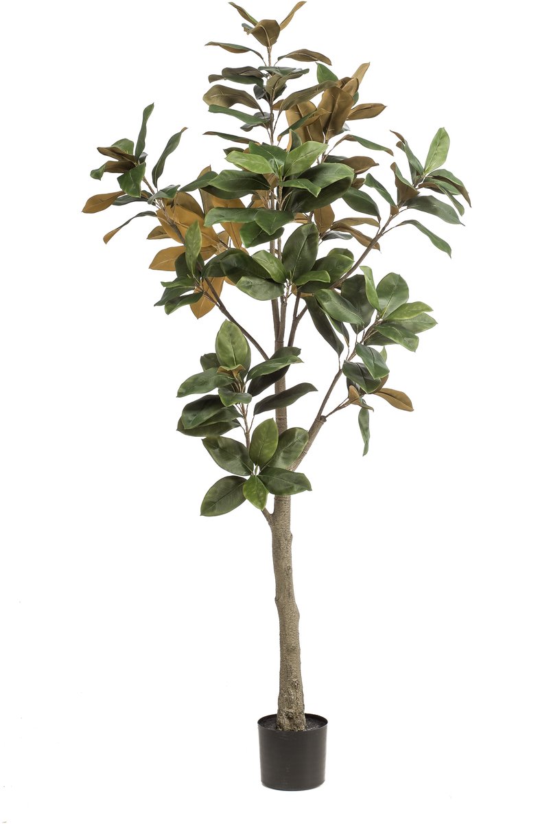 Emerald Kunstboom Magnolia Denudata 180cm - Kunstplant voor binnen - Magnolia plant - Magnolia boom Groen