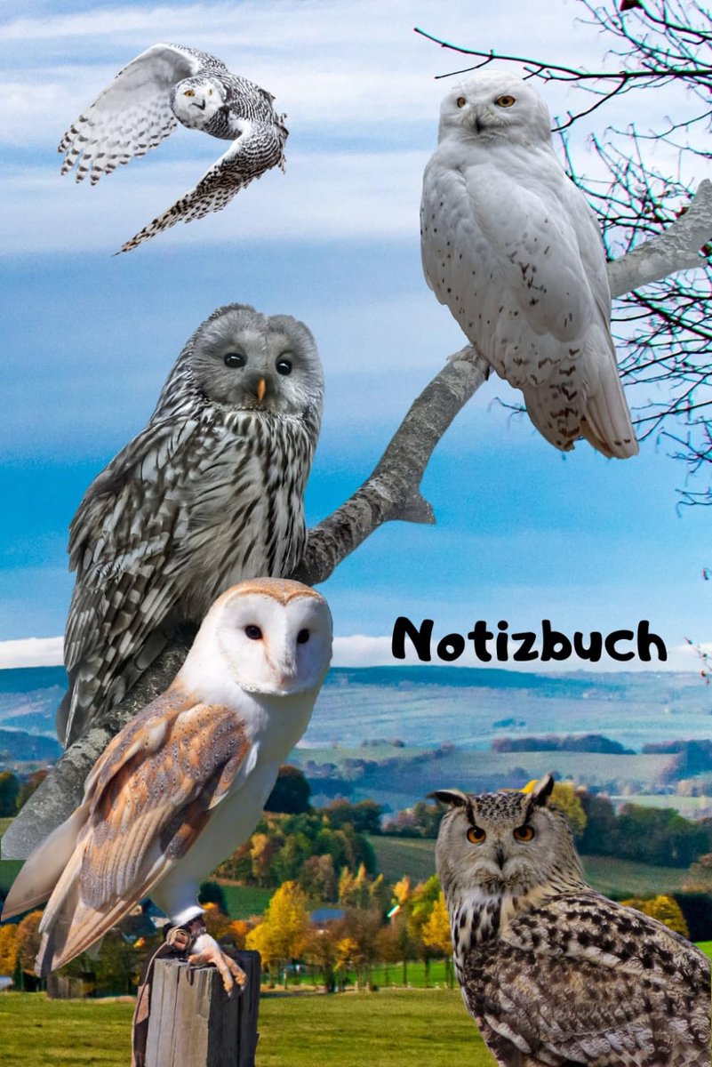 Notitieboek A3 - Eulen Uhu Kauz - Perfect voor vogelliefhebbers - Ideaal als teken- en schrijfboek - ShopVlot