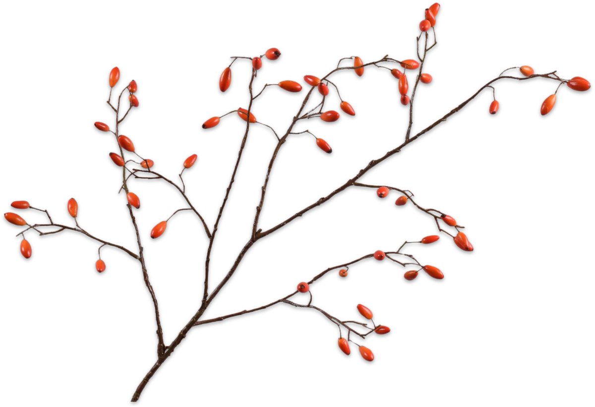 Silk-ka Kunstbloem-Zijden Bloem Rozenbottel Tak Oranje 115 cm
