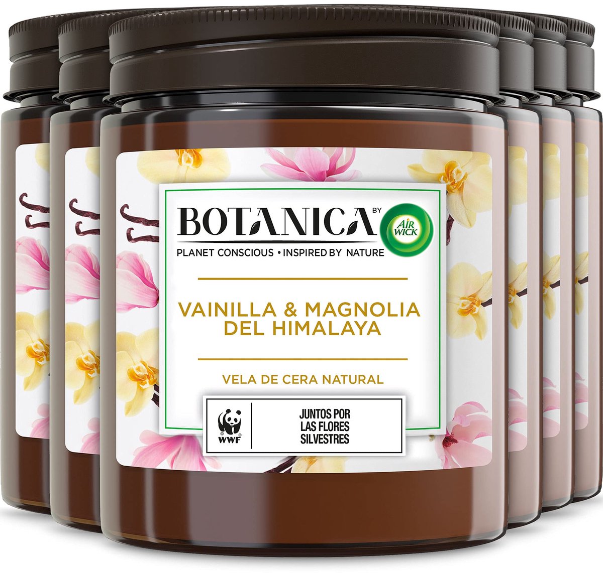 SnelShoppen - Geurkaarsen Set van 6 - Botanica Luchtverfrisser met Vanille en Himalaya-Magnolia - Natuurlijke Ingrediënten - 205g - Gezellige Sfeer vo