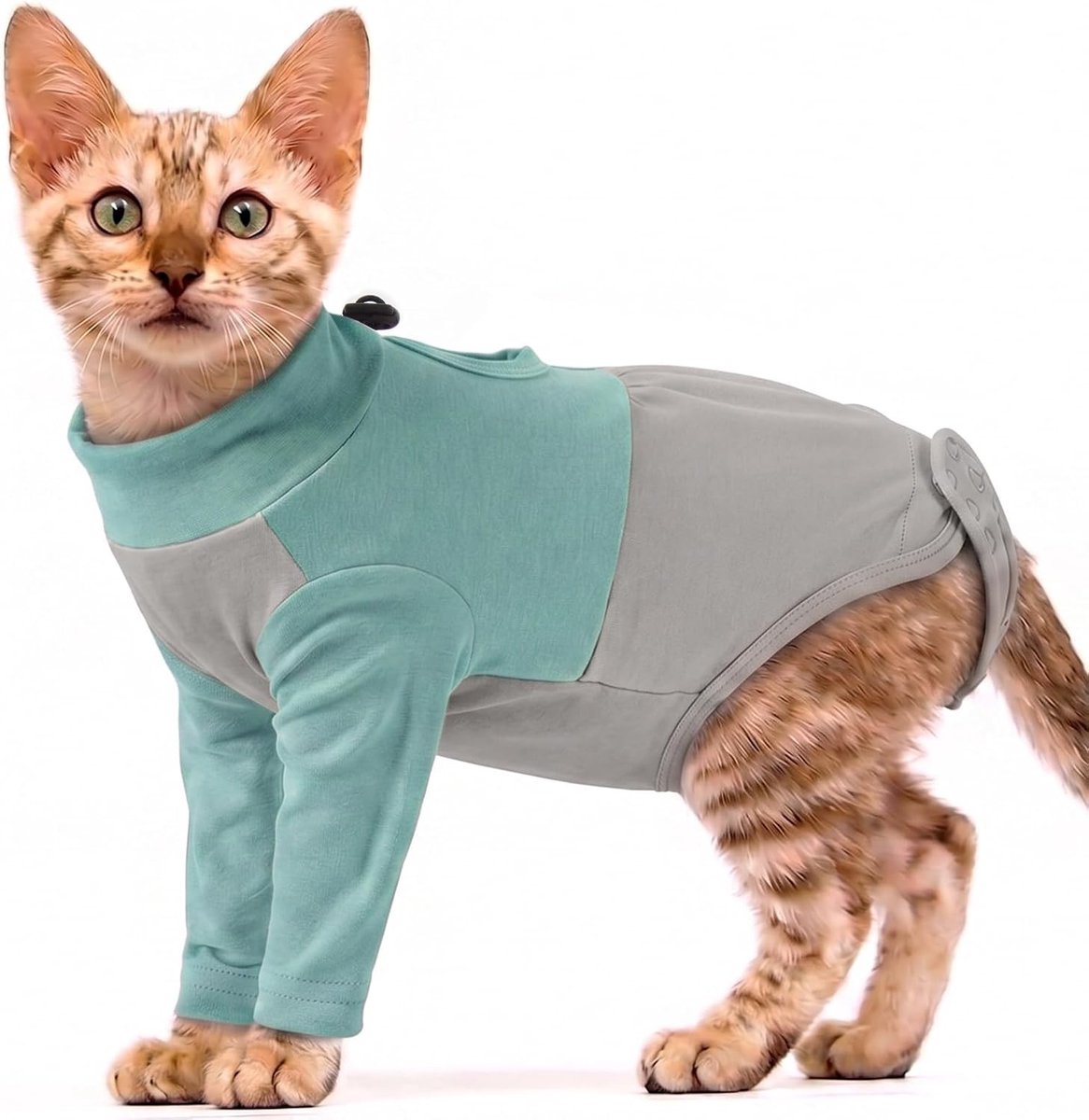 Kattenpak na operatie met benen, herstelpak voor mannelijke katten, anti-likmouw voor wondgenezing en bescherming tegen likken, bevorder herstel en houd de wond schoon en droog (groen)