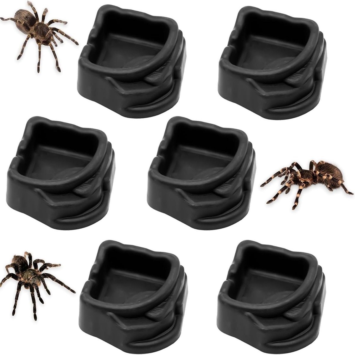 Mini Waterbakken voor Insecten - Set van 6 - Zwart