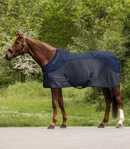 Bruine paard met donkerblauwe vliegendeken, met mesh-inzetstukken en gespen.