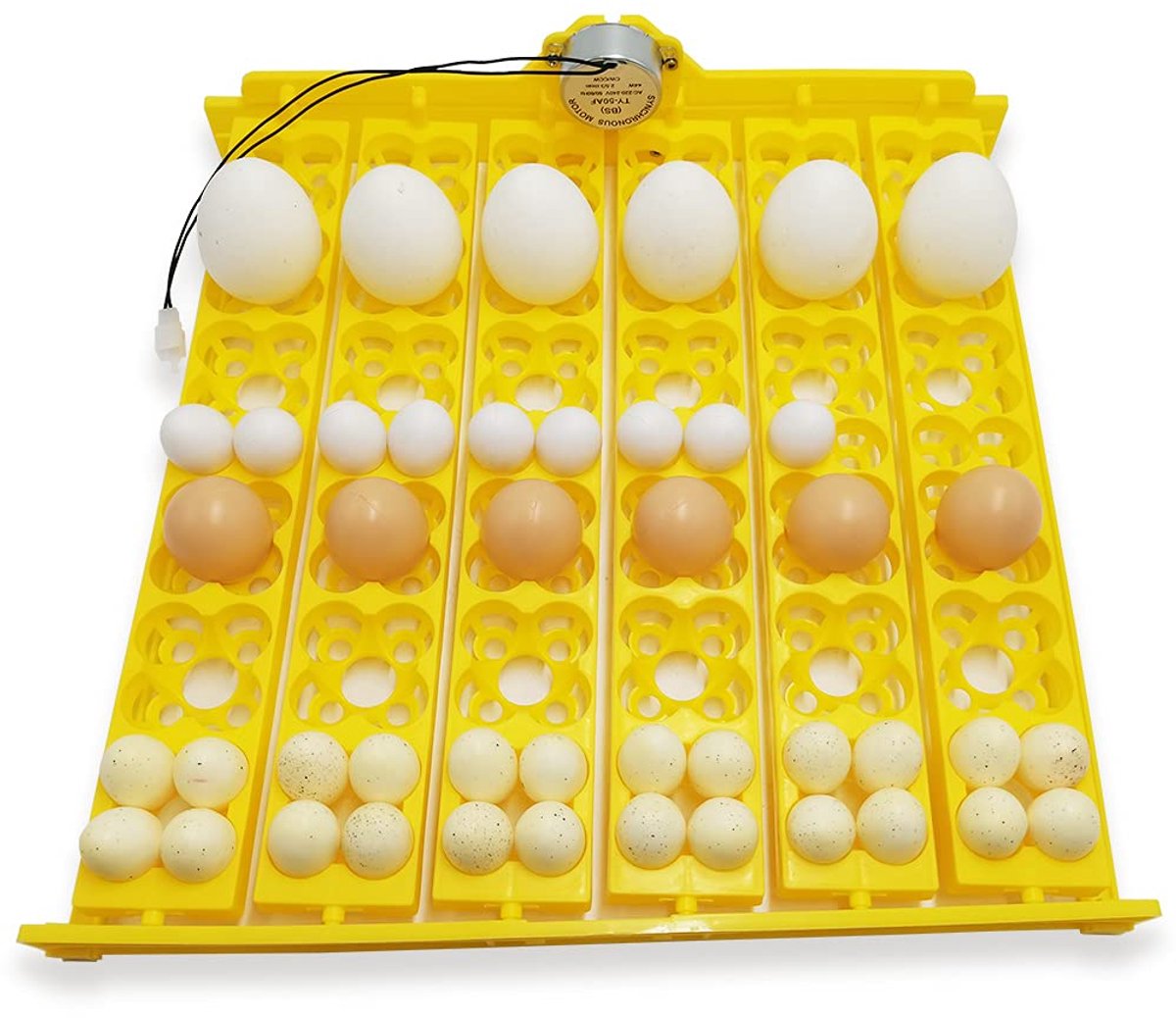 HopeU5 Incubator Egg Shell 220V Rotating Automatic with Motor for Chickens, Ducks, Birds - ShopVlot