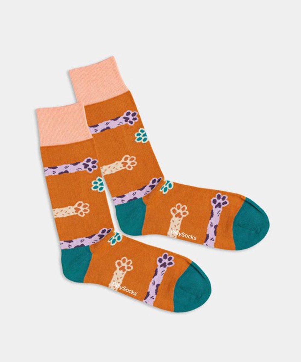 DillySocks Pawsitive 41-46