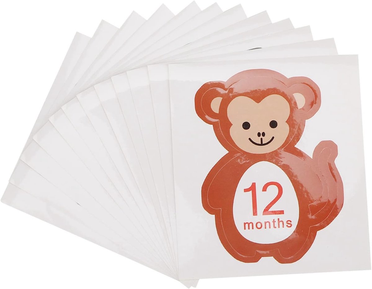 Baby Maand Stickers - Mijlpaal Herinneringen - Foto Momenten Vastleggen - Schattig Cartoon Design - 12 Stuks - Veelkleurig
