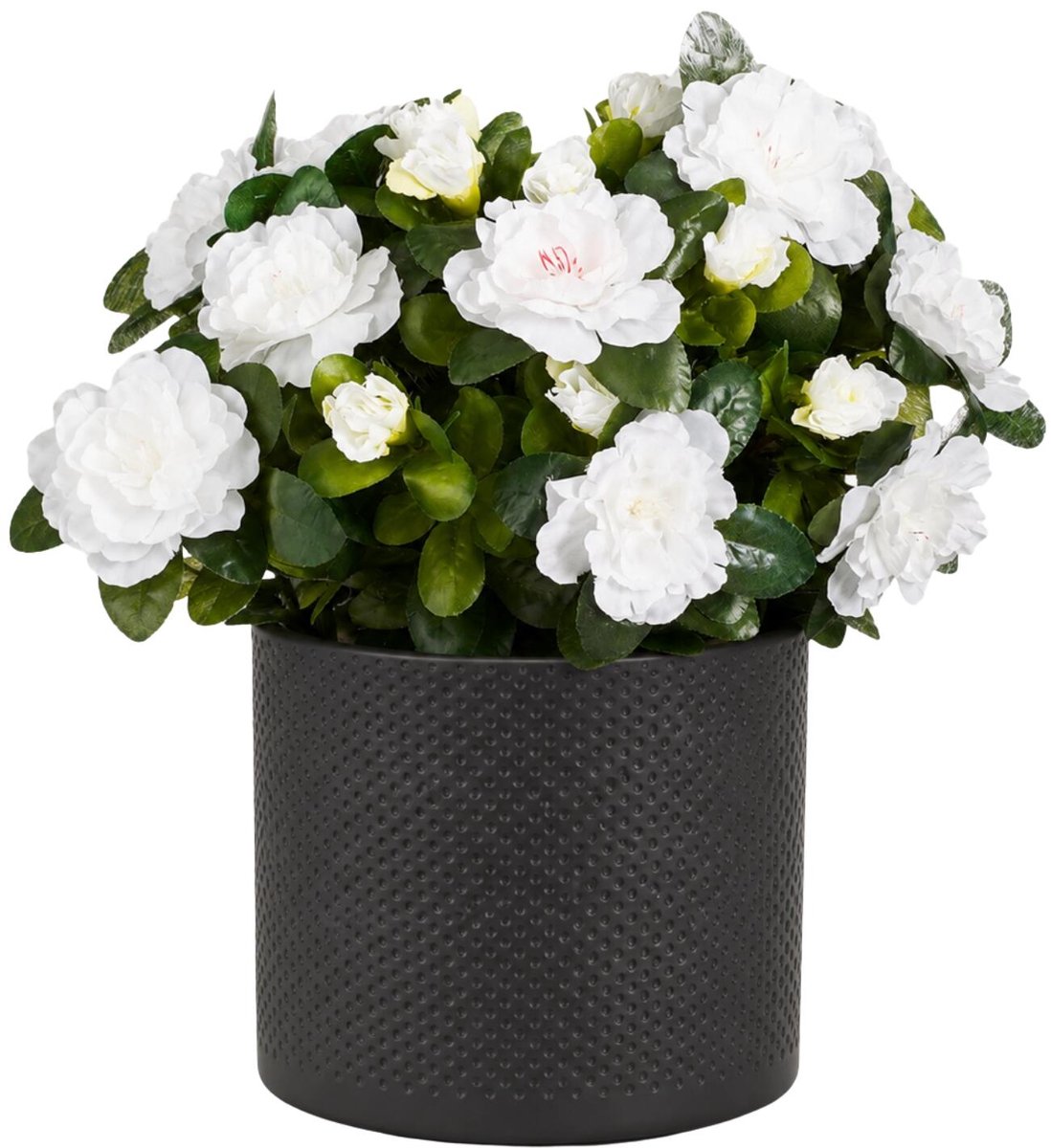 Mica Decorations Kunstplant - Azalea wit - H31 cm - in antraciet bloempot - keramiek - complete set van pot en plant - decoratie stuk