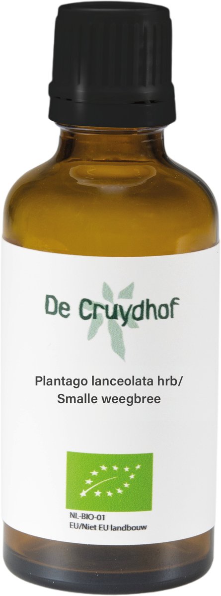 Plantago Lanc/Smalle Weegbree