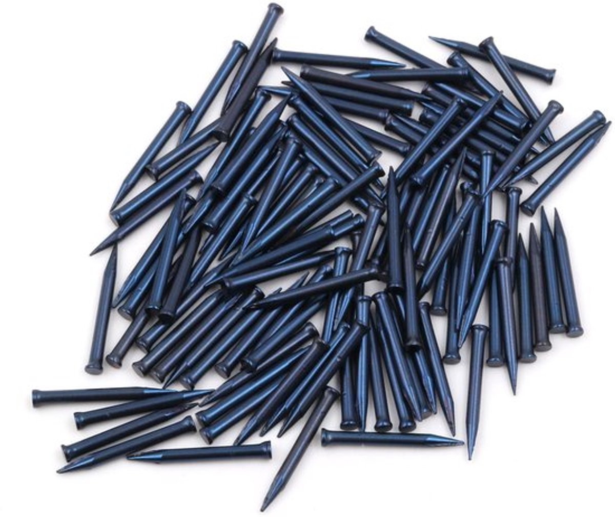 Solidchoice - Dailygoody - Stalen pennen - Plinten nagels - 100 stuks - Blauw