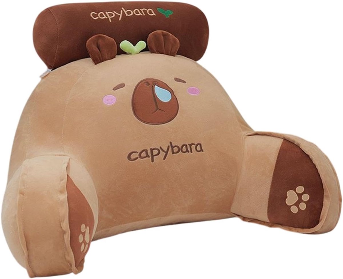 Leeskussen Capybara - Rugsteun Kussen - Ontspannen Lezen - Ergonomisch Design - 65 x 45 cm - Meerkleurig