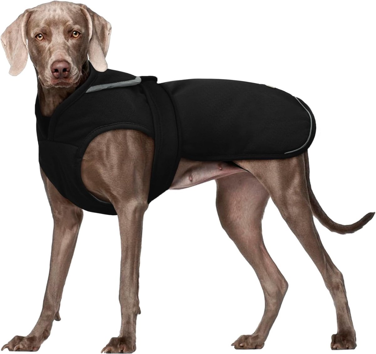 Kuoser Canvas winterjas voor huisdieren en honden, reflecterend warm fleecejack voor kleine middelgrote puppy's, waterdicht en winddicht hondenvest met riemgat