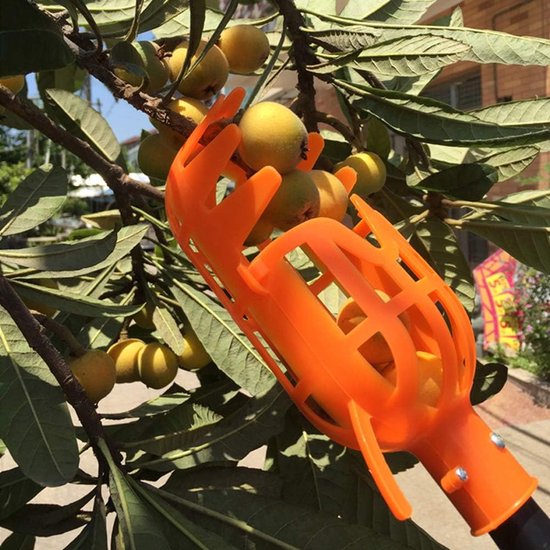 Handige fruit plukker - Plukhulp - fruitplukker - oranje van Talen Tools — afbeelding 4
