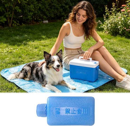 Lunch IJspacks - Herbruikbare Koeling - Voedsel Koel Houden - Snelvriezend - Compact Formaat - Klein — afbeelding 4