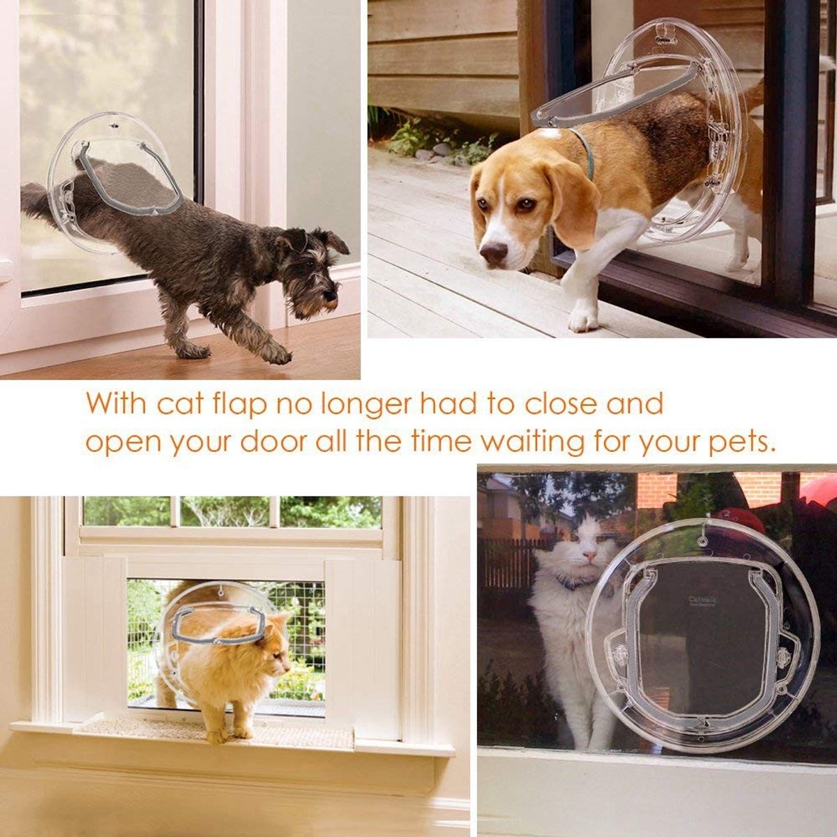 Dailygoods- Kattenluik met microchip - Kattenluik binnendeur - Huisdierluik voor kleine honden - 4-weg vergrendelingsopties - Transparant design - Geluidsreductie met borstelstrip - Huisdierdeur thumbnail 5