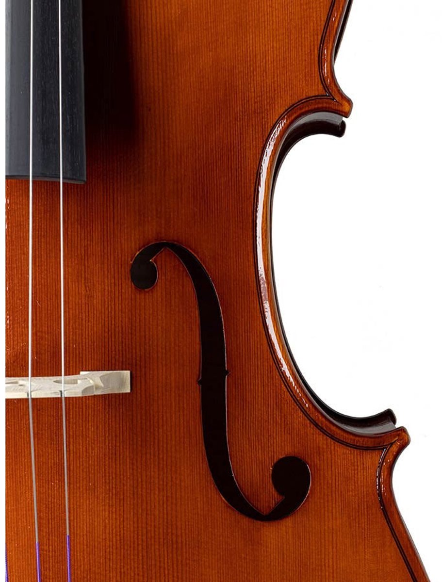 Rudolph RC-EU-30-S Virtus European Stoica workshop cello 4/4