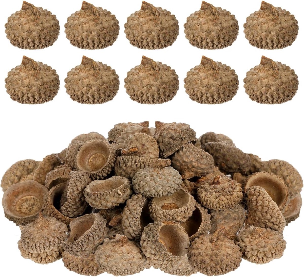 50 natuurlijke eikelschalen om te knutselen, eikenkapjes, herfstdecoratie, droog -ornament voor tafeldecoratie, bruiloften, feesten en woonaccessoires