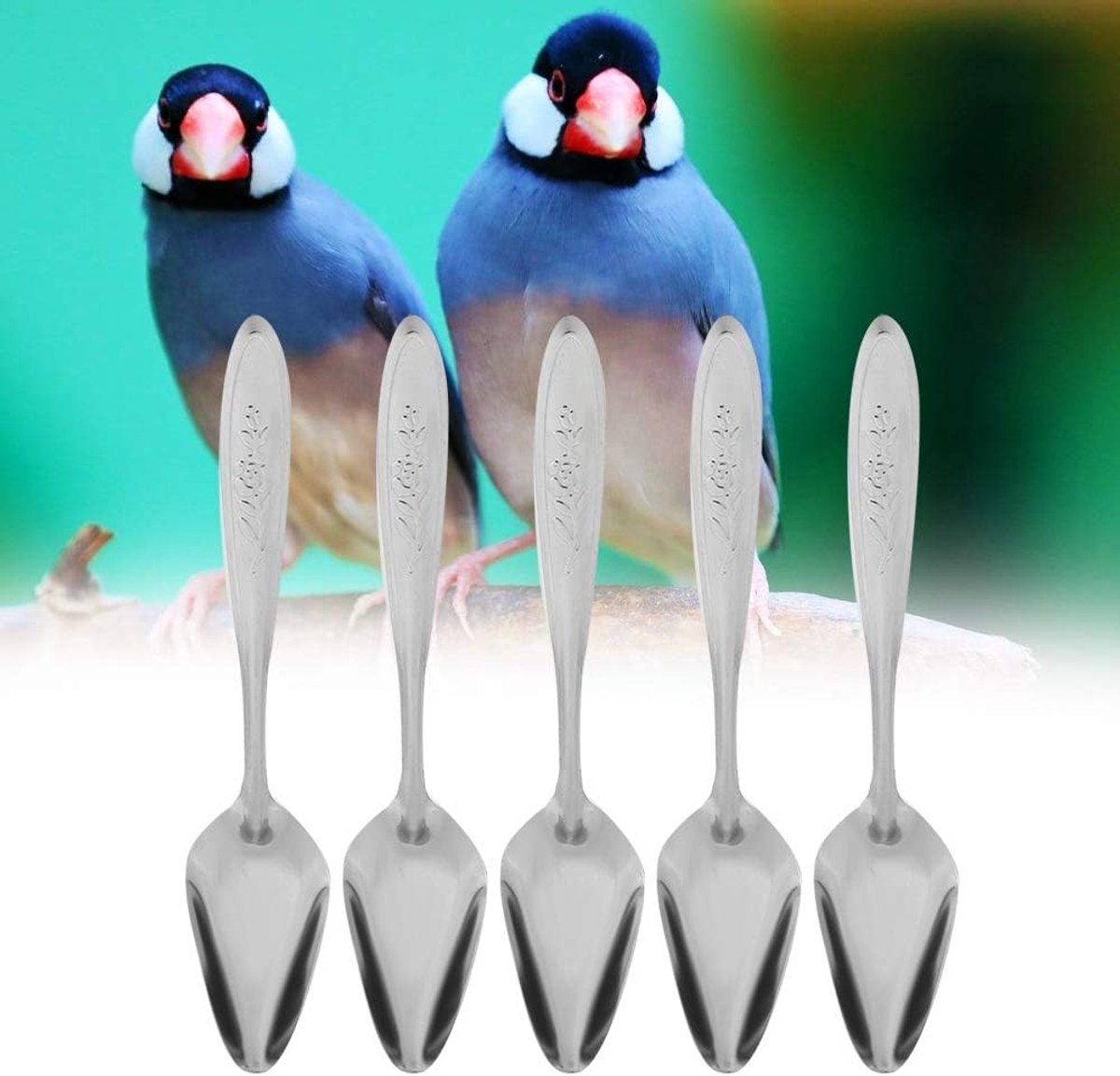 staal roestbestendig 5,9 * 0,9 inch papegaai voederlepel, papegaai lepel, lichtgewicht voor huisdieren voor middelgrote papegaaien