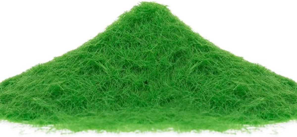 Natuurlijke 30g Poeder voor Kunstgras - Losse Grasvezels voor Modelspoor, Modelbouw en Landschapsinrichting (Wintergroen)