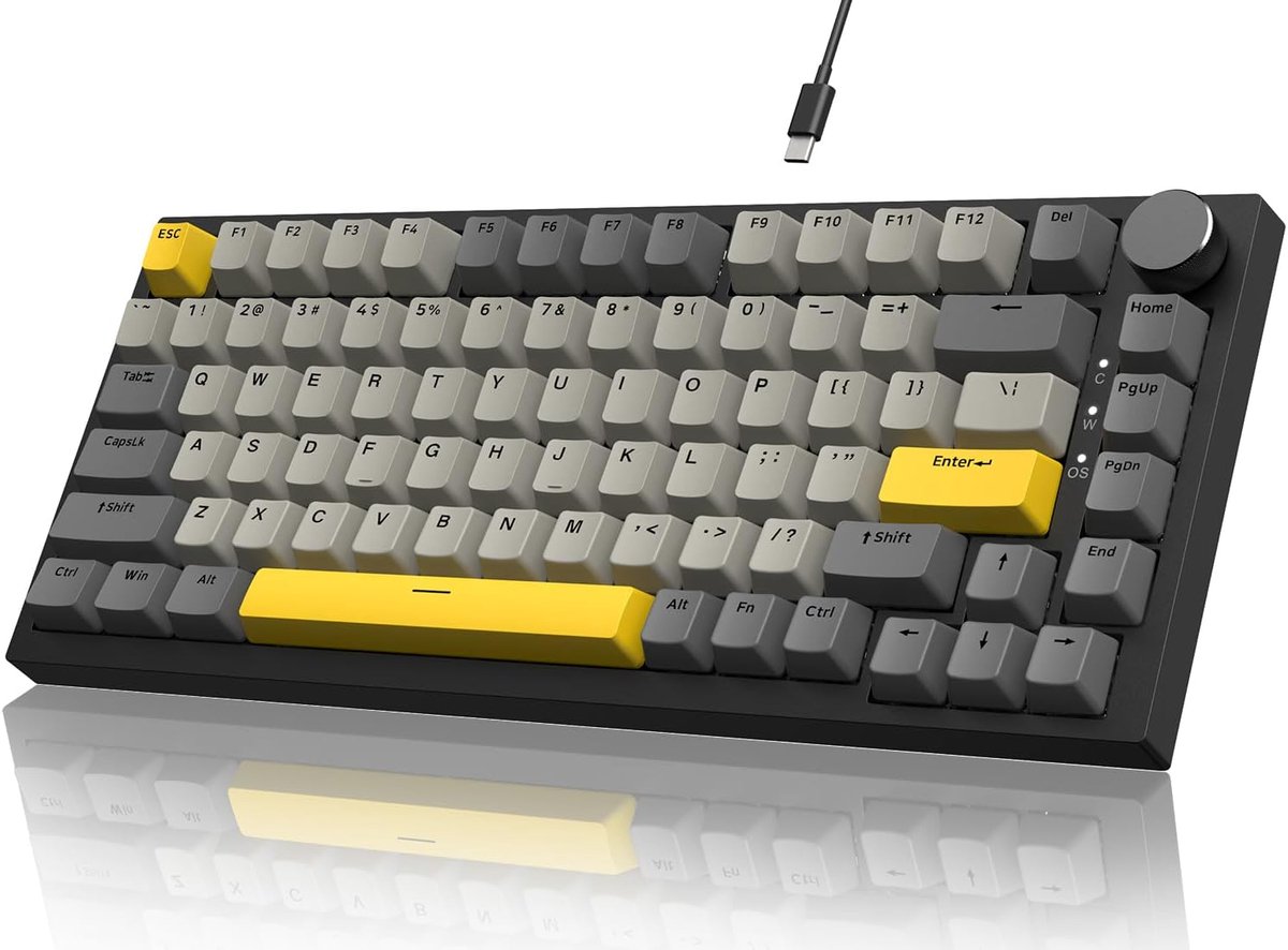 SnelShoppen - Mechanisch Toetsenbord 75% ANSI Layout 81 Toetsen - Gaming Toetsenbord met RGB Verlichting en Geluidsabsorberende Schuim - Hot-Swappable
