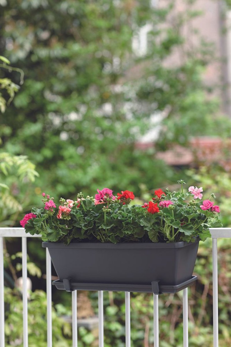 Elho Barcelona Balcony Planter 50 - Outdoor Balcony Planter