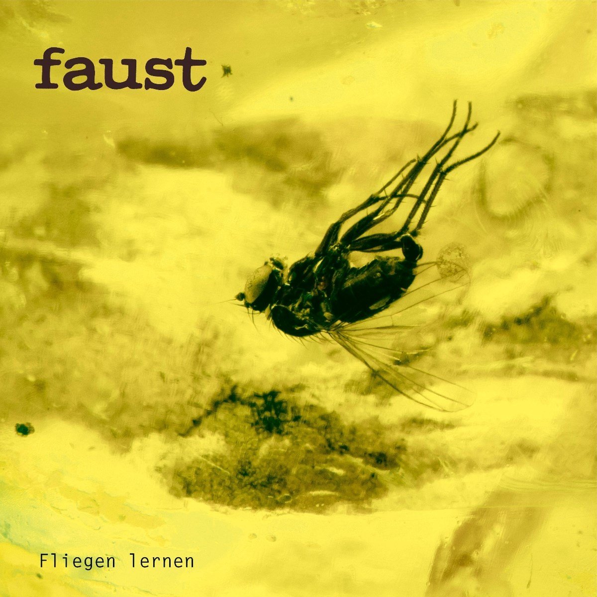 Faust - Fliegen Lernen (LP)