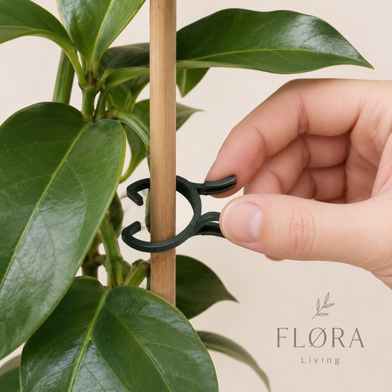 Hand bevestigt een donkergroene plantenclip aan een houten stok naast een plantenstam met glanzende groene bladeren.