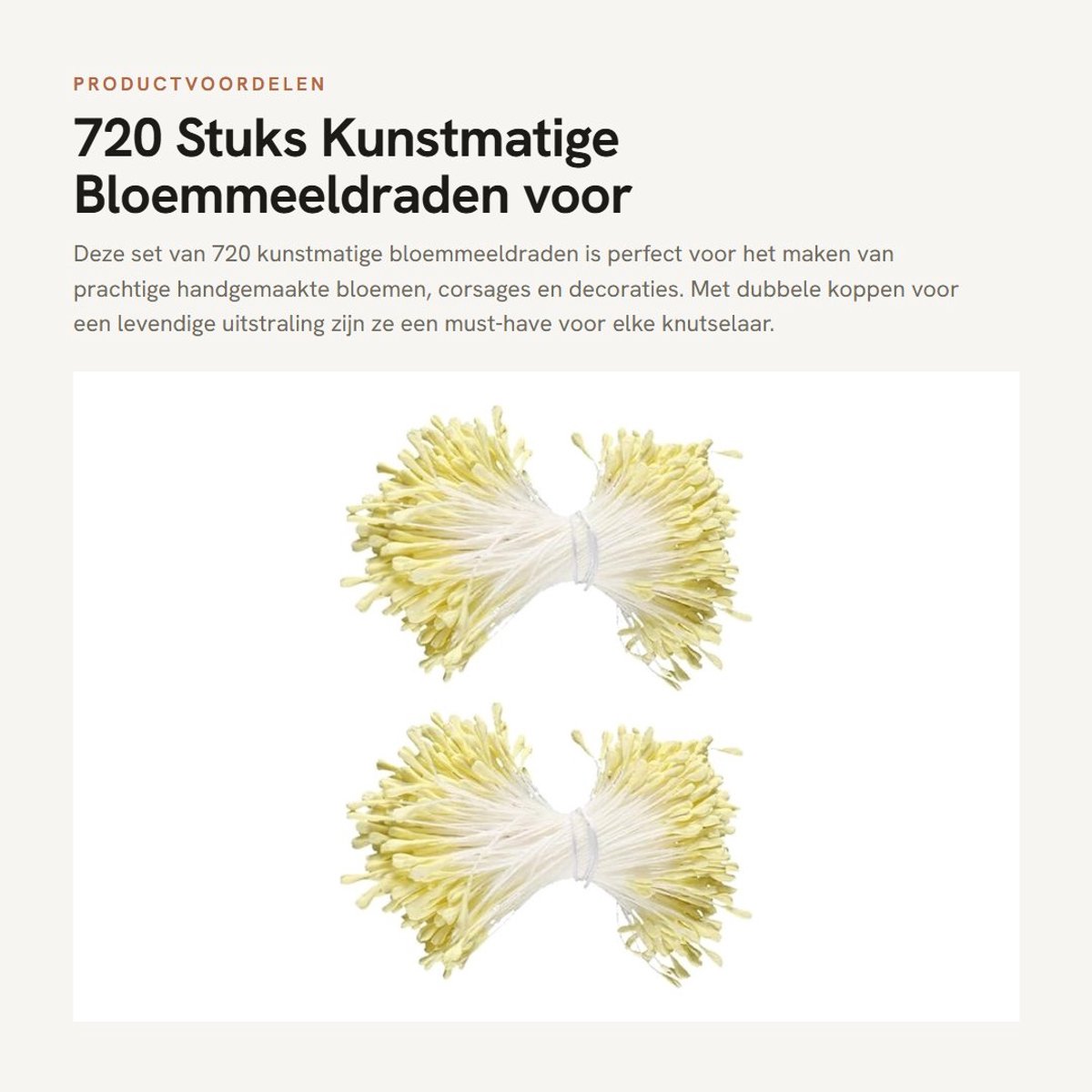 Dailygoods- Pijpenragers Wit - 720 Stuks - Kunstmatige Meeldraden - Handgemaakte Bloemen - Duurzaam - Milieuvriendelijk - Bloemmeeldraden
