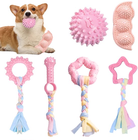 Corgi met roze bijtspeeltje in mond; verschillende roze bijtspeeltjes.