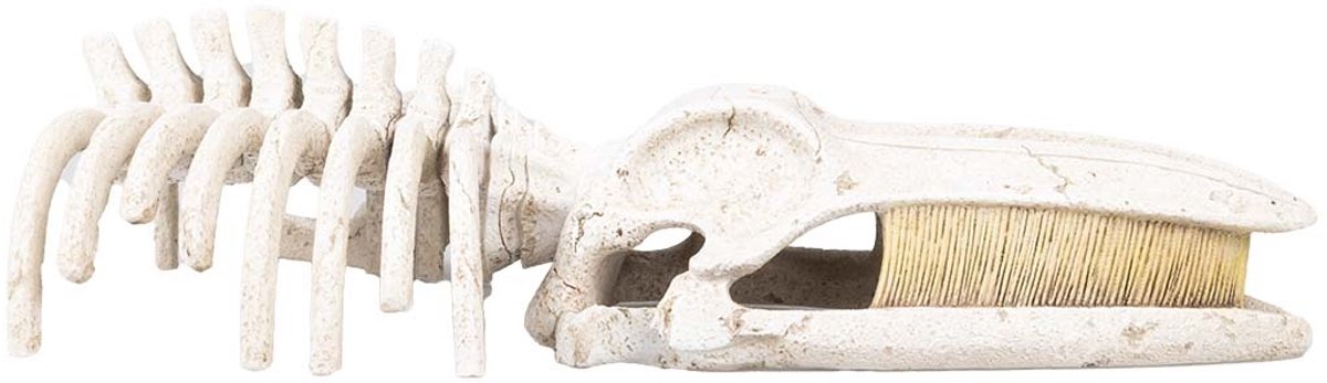 Aqua D'ella Walvisskelet aquarium ornament beige | natuurgetrouwe schuilplaats | 22 x 11 x 5,5 cm S - 22x11x5.5cm