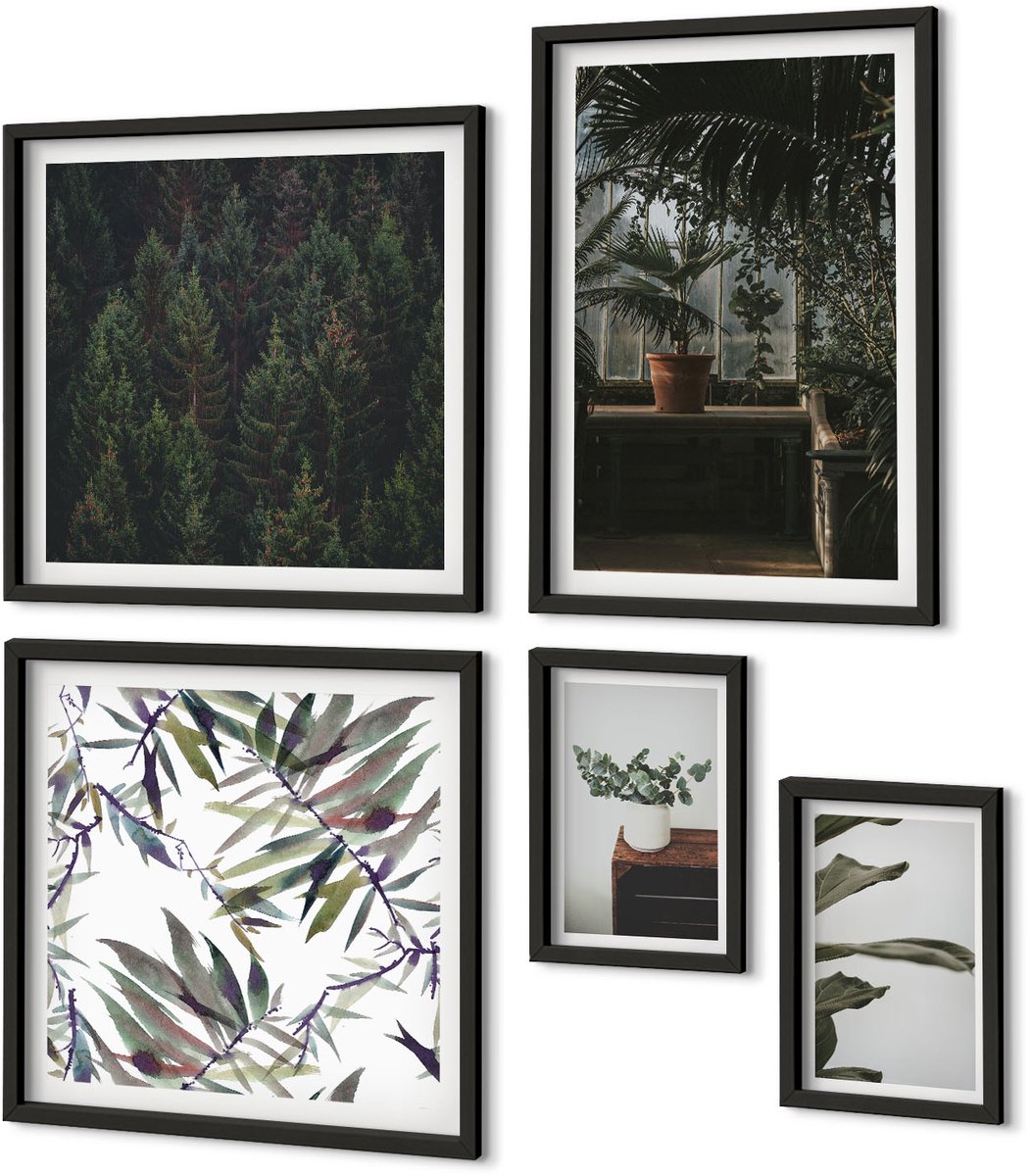 Coloray 5-Delige Schilderij Set - Plantenmotieven En Natuurlijke Accenten In De Groene Oase - 50 x 50 cm, 20 x 30 cm En 40 x 60 cm - Stijlvolle Wanddecoratie - Interieur - Moderne Wanddecoratie