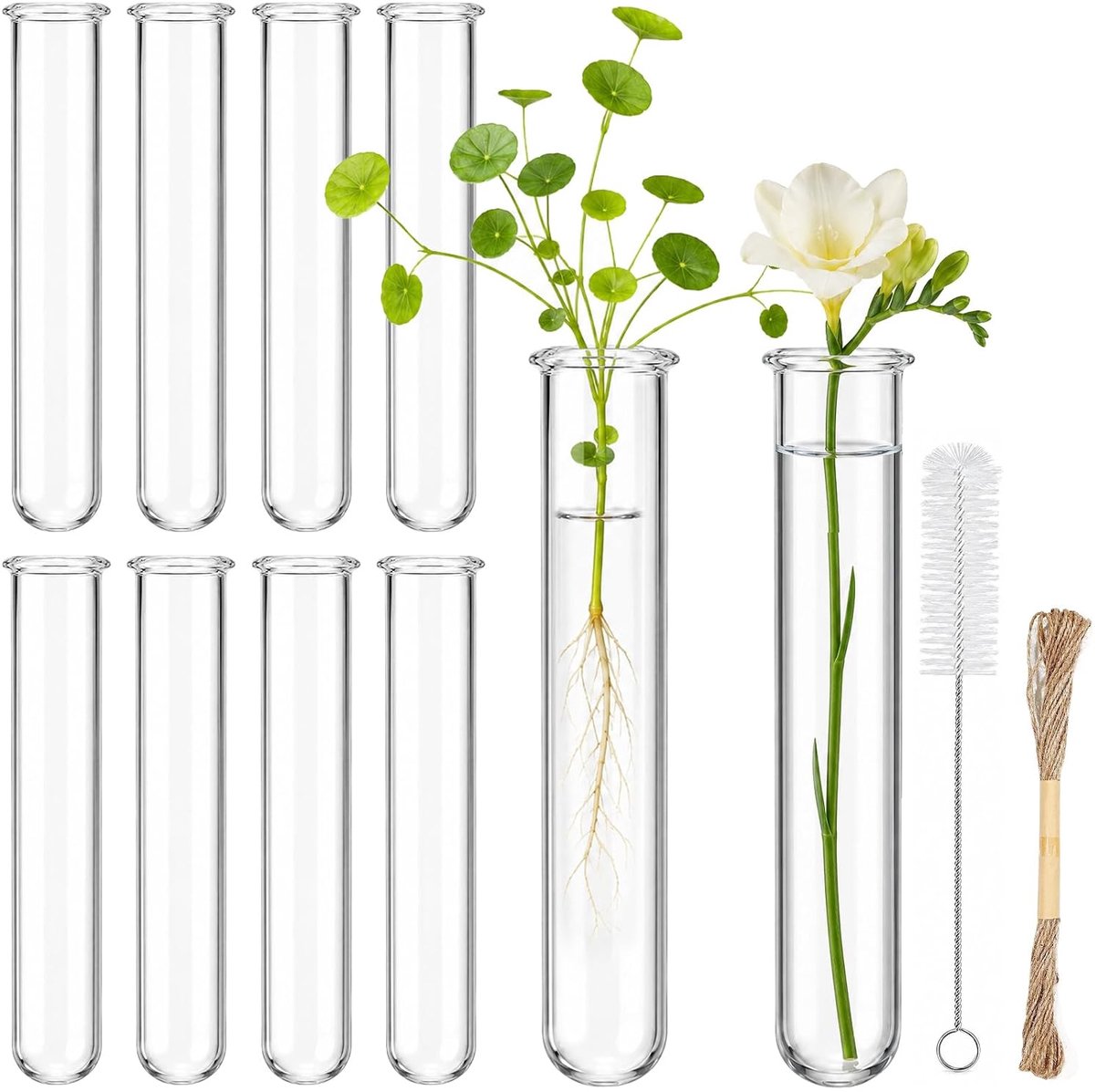 Reageerbuisjes 10 stuks - Glas - Voor laboratoriumgebruik - Ideaal voor experimenten - ShopVlot