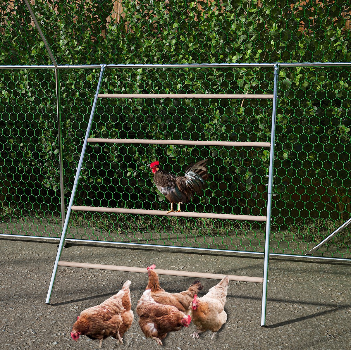 REDOM - Zitstok voor kippen - Verzinkt ijzeren frame - Met houten zitstokken - Eenvoudige montage - Voor kippenhok - Metaal en hout - Grijs - 144 x 105 x 100 cm