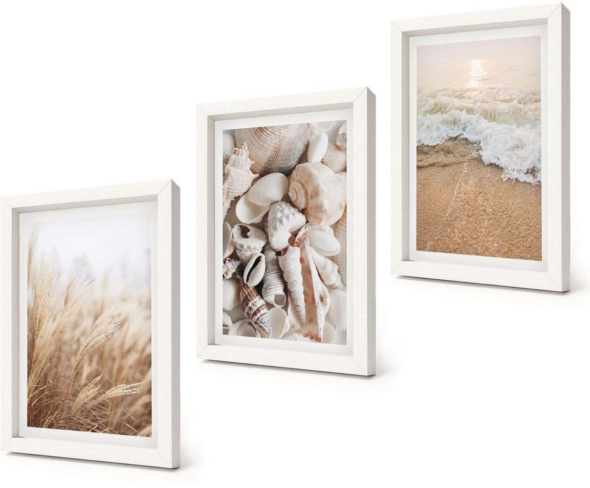 Coloray 3-Delige Schilderij Set - Strandthema met schelpen en zeegolven - 20x30 - Moderne Wanddecoratie - Woonkamer