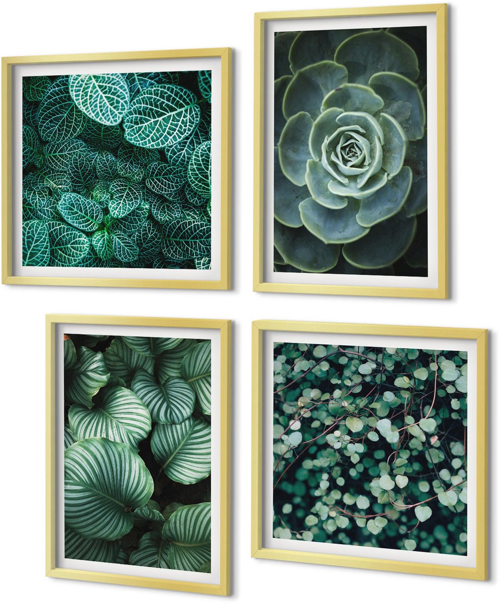 Coloray 4-Delige Schilderij Set - Groene bladeren van vetplanten en tere takjes - 40 x 40 cm en 40 x 60 cm - Muurdecoratie - Decoratieve Schilderijen - Wohnzimmer