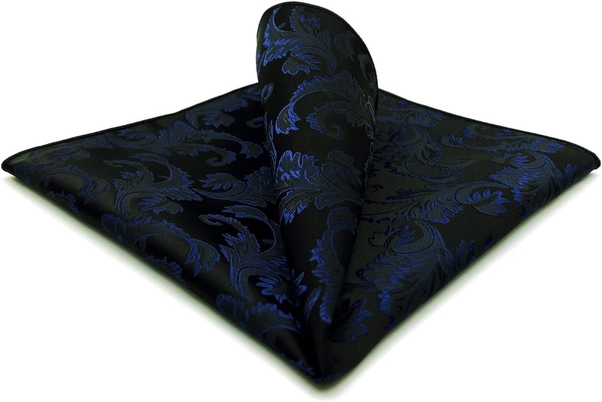 SHLAX&WING Zakdoek voor heren, gesorteerd paisleypatroon voor kostuumjas, business,