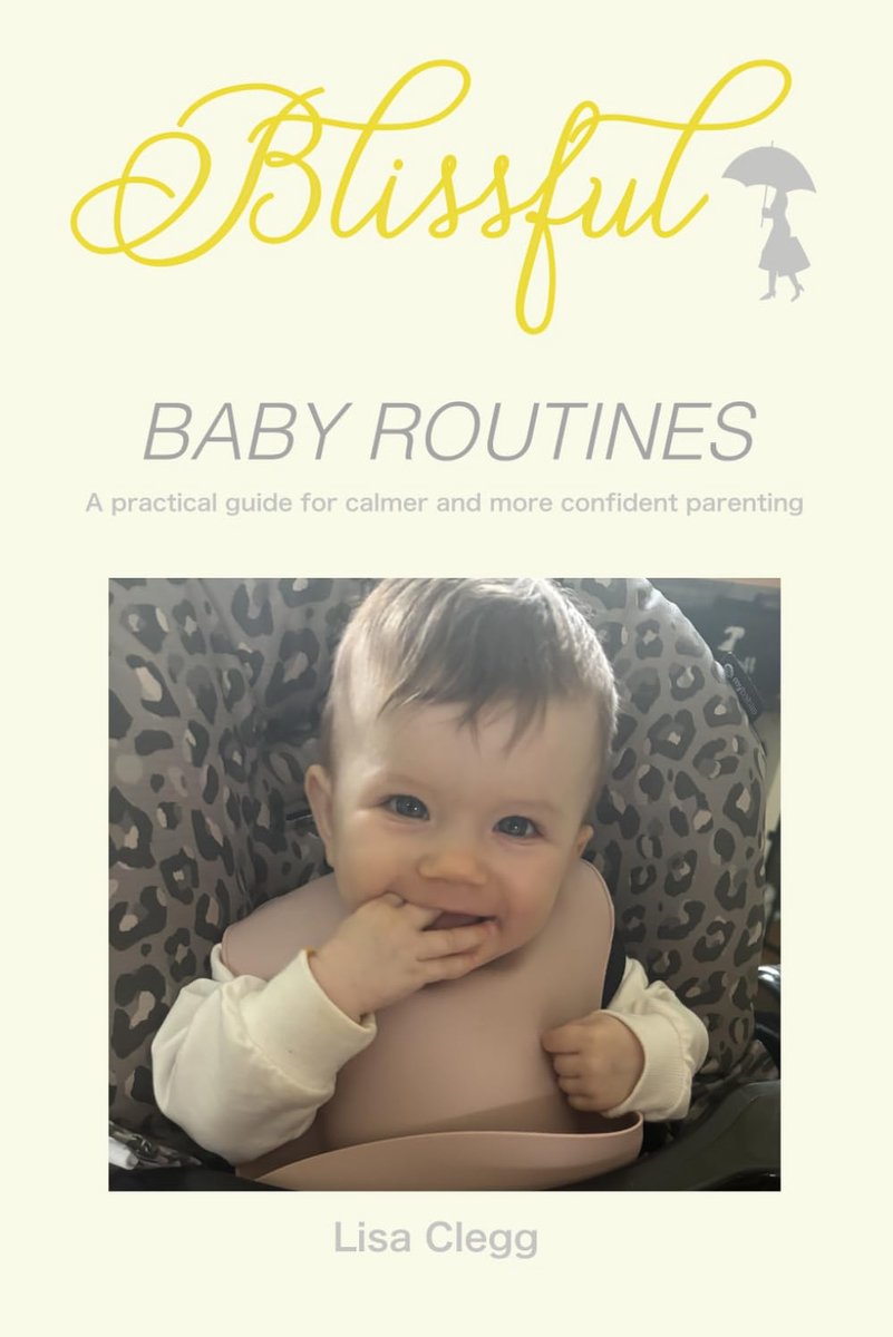 Baby Routines: A Practical guide for calmer and more confident parenting.