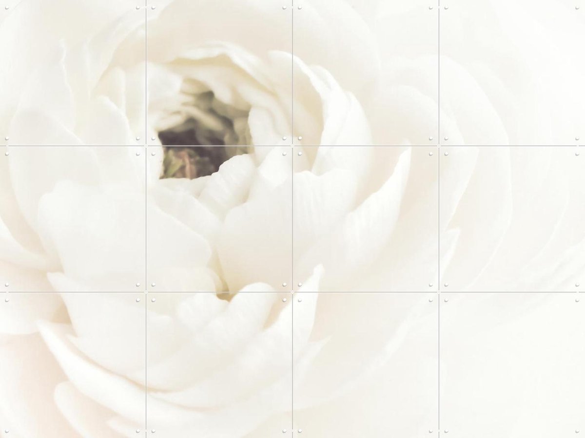 IXXI White Flower 02, 1x Studio II & Various - 80 x 60 cm - Gratis ophangtool - Grote wanddecoratie en posters - Realisme, Impressionisme, Slaapkamer