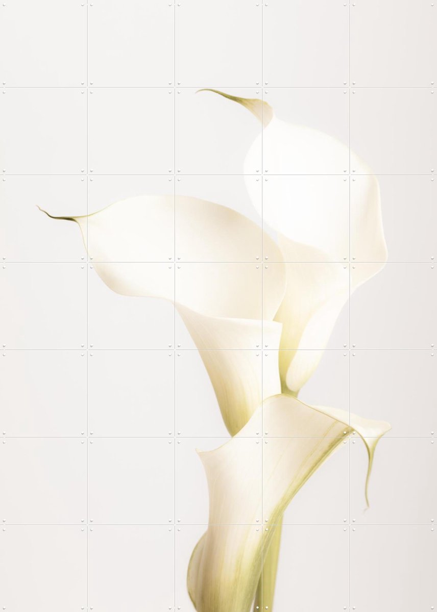 IXXI White Calla Lily No 3, 1x Studio II & Various - 100 x 140 cm - Gratis ophangtool - Grote wanddecoratie en posters - Minimalisme, Abstract