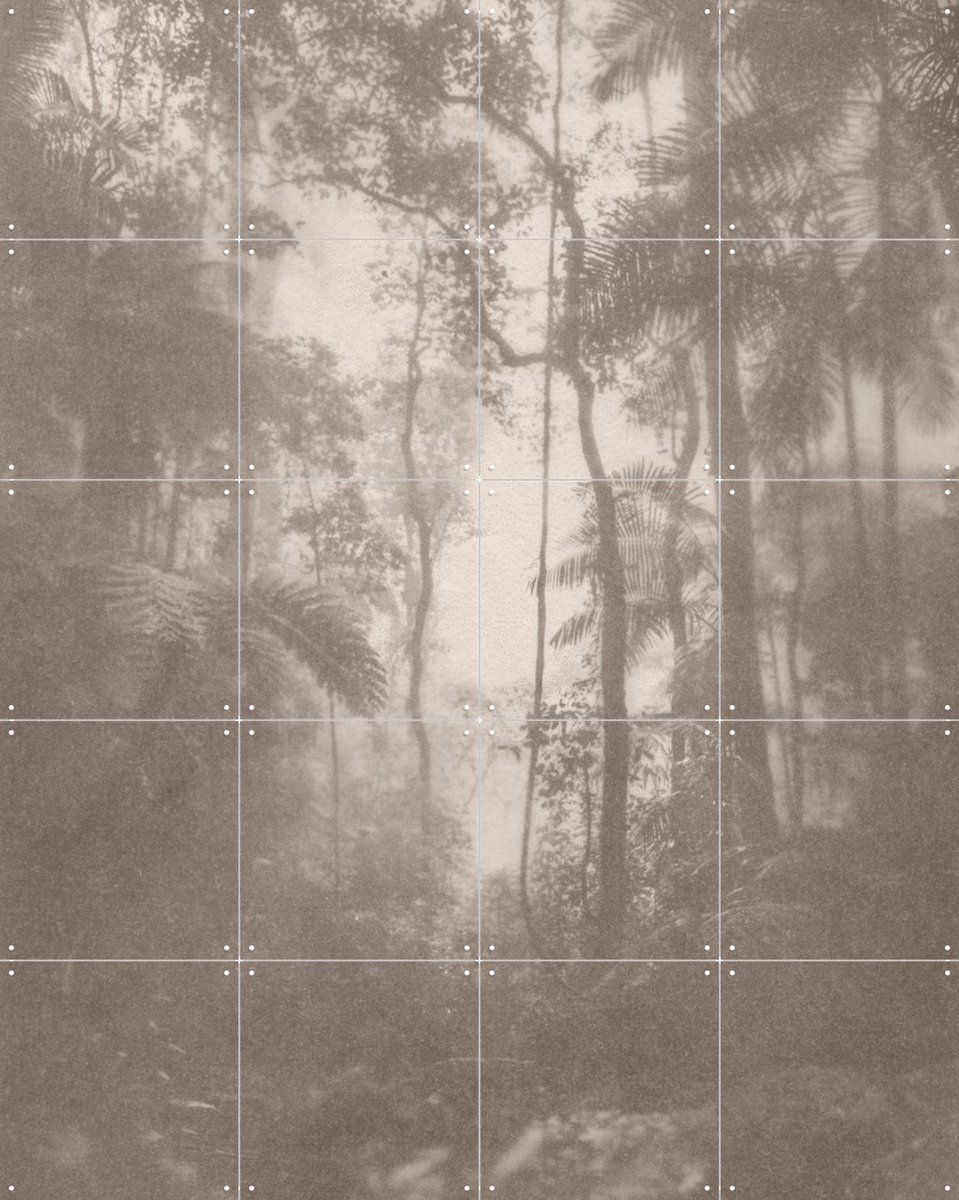 IXXI Jungle Brouillard, Florent Bodart - 80 x 100 cm - Gratis ophangtool - Grote wanddecoratie en posters - Vintage, Mancave, Woonkamer, Studeerkamer
