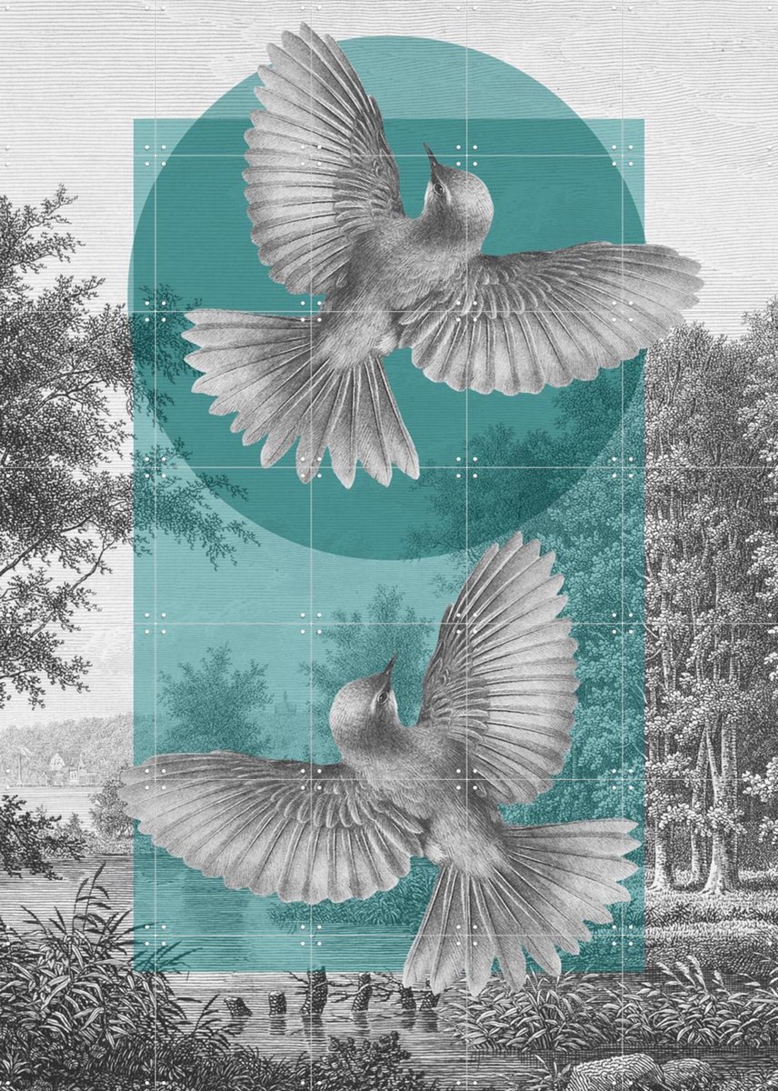 IXXI Vintage Forest, Marja van den Hurk - 100 x 140 cm - Gratis ophangtool - Grote wanddecoratie en posters - Modern, Abstract, Collage, Illustraties