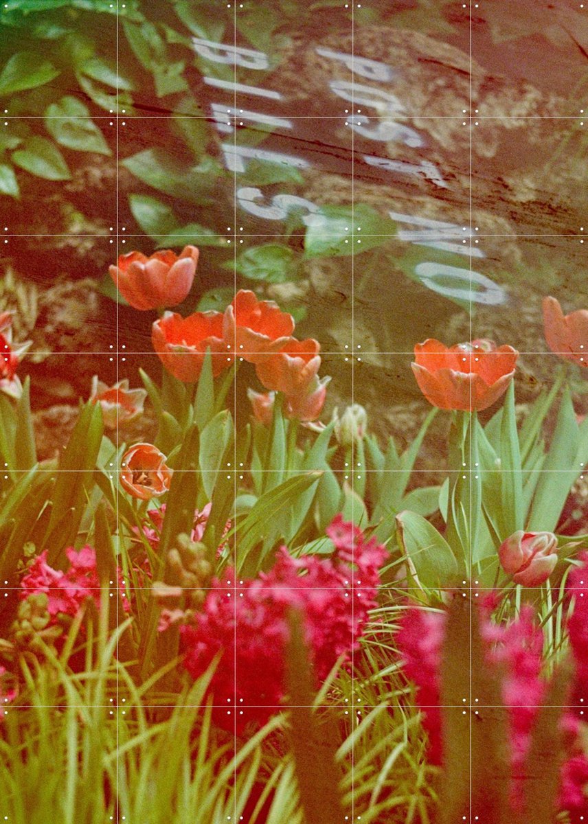 IXXI They Never Said Anything About Flowers, Amber Lauder - 100 x 140 cm - Gratis ophangtool - Grote wanddecoratie en posters - Gemengde Technieken