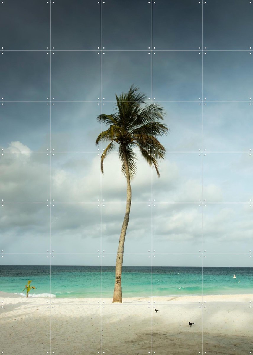 IXXI Whispering Palm Above The Caribbean Silence, Claire Droppert - 100 x 140 cm - Gratis ophangtool - Grote wanddecoratie en posters - Fotografie