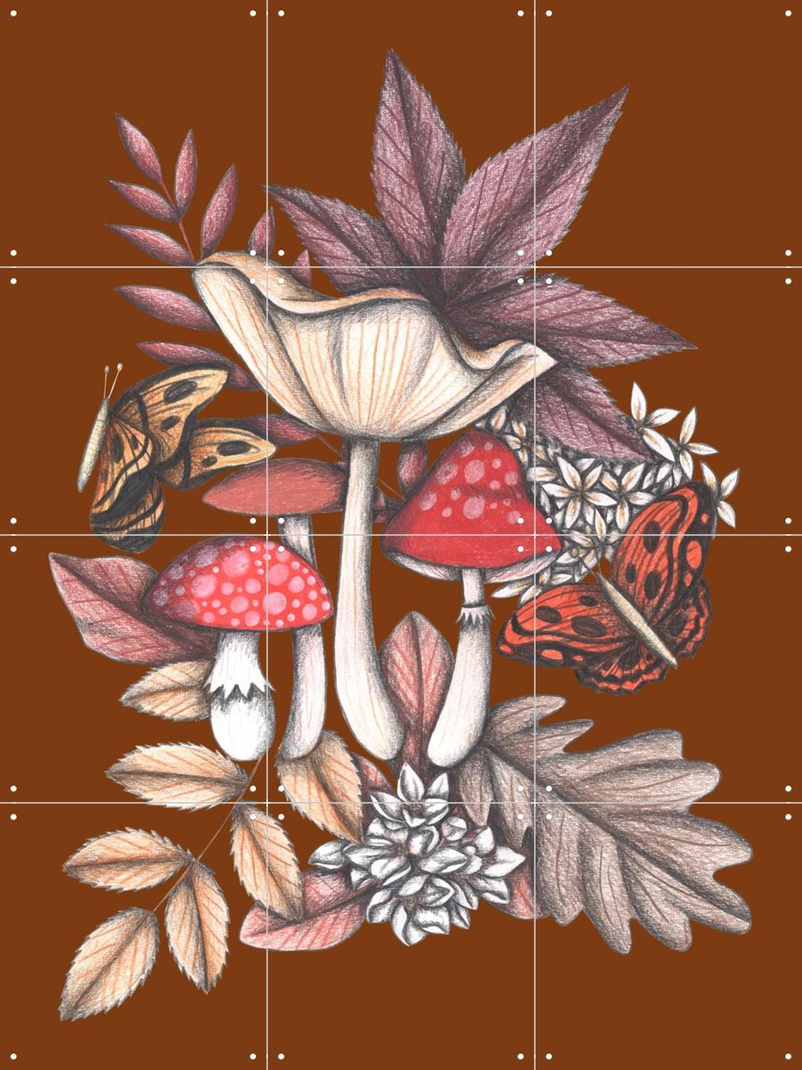 IXXI Mushrooms Magic 3, Cecilia Battaini - 60 x 80 cm - Gratis ophangtool - Grote wanddecoratie en posters - Speels, Kleurrijk, Illustraties